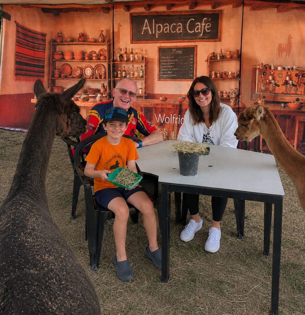 alpaca cafe 1